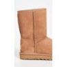 UGG Classic Short II 1016223 | Bottes Pratiques